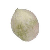 Charenrais Melon, 1 ct, 1 each