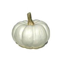 Fresh White Pumpkins, 3 pound