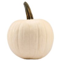 Fresh White Pumpkin, each