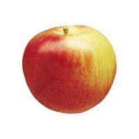 Empire Apple, 1 ct, 10 oz