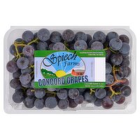 Fresh Concord Grapes, 1 lb