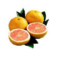 Fresh Grapefruit Texas Red, 1 each, 1 Each