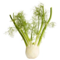 Anise Florence/Sweet Fennel/Fennel, 1 each, 1 Each