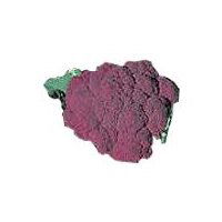 Purple Cauliflower, 1 each