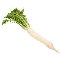 Daikon Radish, 1 ct, 3 oz, 3 Ounce