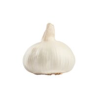 Fresh Garlic