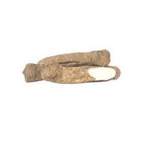 Fresh Horseradish, 1 ct, 1 pound