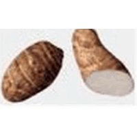 Fresh Dasheen/Taro Root, 1 ct, 1 each