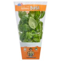 Fresh Basil in Bag, 3 oz