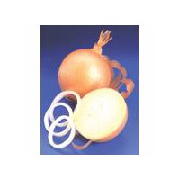 White Boiler Onions, 1 each