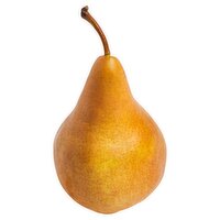 Bosc Tote Pears, 4.5 Pound