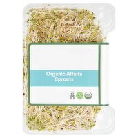 Alfalfa Sprouts, 3.5 oz