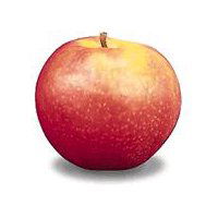 Cortland Apples, 3lb Bag, 3 pound