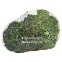 Organic Broccoli, 1 each, 1 Each