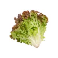 Organic Red Leaf Lettuce, 1 ct, 9 oz