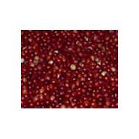 Cranberries Organically Grown, 1 pound