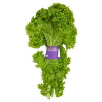 Organic Mustard Greens, 1 pound