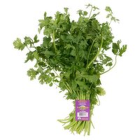 Organic Cilantro, bunch