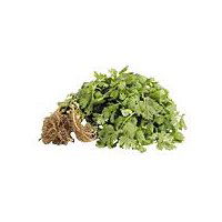 Organic Italian Parsley, 1 ct, 1 each