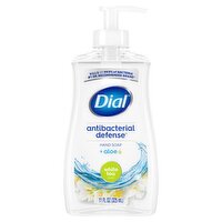 Dial Antibacterial Defense White Tea Scent + Aloe Hand Soap, 11 fl oz, 11 Fluid ounce