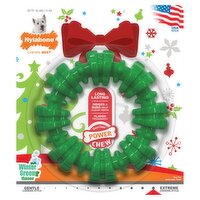 Nylabone DuraChew Power Chew Winter Green Flavor Dog Toy