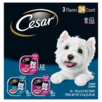 CESAR Adult Wet Dog Food Filets in Gravy Variety, Filet, New York Strip, Prime Rib, (24) 3.5 oz.