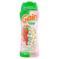 Gain Tango Strawberry + Shea in-Wash Scent Booster, 21.1 oz