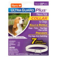Hartz Ultra Guard Plus Fresh Scent 22" Flea & Tick White Collar for Dogs, 1 count, 0.73 oz