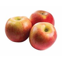 Gala Apples - 5 Lb Bag, 5 pound