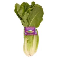 Cal-Organic Farms Organic Romaine Lettuce