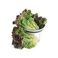 Red Leaf Lettuce - Organically Grown, 10 oz