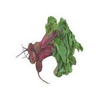 Organically Grown Beets, 1 each, 1 Each