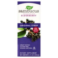 Nature's Way Sambucus Standardized Elderberry Original Syrup Dietary Supplement, 4 fl oz