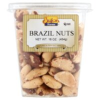 Setton Farms Brazil Nuts, 16 oz