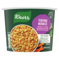 Knorr Teriyaki Noodles Pasta Cup, 2.6 oz, 2.6 Ounce