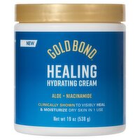 Gold Bond Aloe + Niacinamide Healing Hydrating Cream, 19 oz