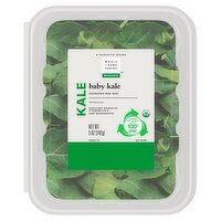 Wholesome Pantry Organic Baby Kale, 5 oz, 5 Ounce