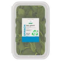 Wholesome Pantry Organic Baby Spinach, 1 lb