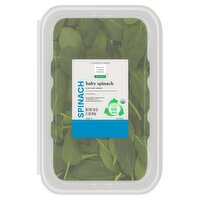 Wholesome Pantry Organic Baby Spinach, 16 oz