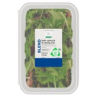 Wholesome Pantry Organic Blend Baby Spinach & Spring Mix, 16 oz