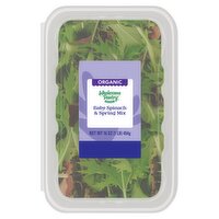 Wholesome Pantry Organic Baby Spinach & Spring Mix, 16 oz