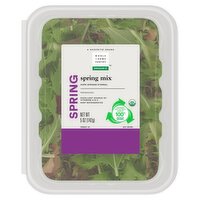 Wholesome Pantry Organic Spring Mix, 5 oz