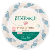 Paperbird 10.06 Inch Decorated Strong Everyday Plates, 24 count, 24 Each