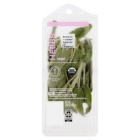 Wholesome Pantry Organic Sage, 0.66 oz