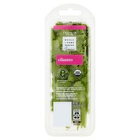 Wholesome Pantry Organic Cilantro, 0.66 oz