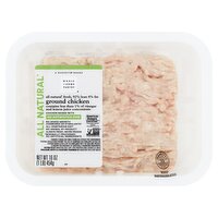 Wholesome Pantry 92% Fat Free All Natural Ground Chicken, 16 oz