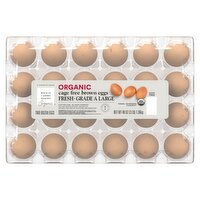 Wholesome Pantry Organic Cage Free Brown Eggs, Large, 24 count, 48 oz, 24 Each