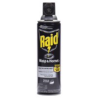 Raid Wasp & Hornet Killer 33, 14 oz