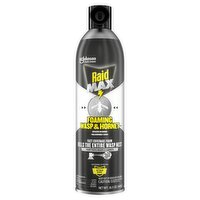 Raid Max Foaming Wasp & Hornet Killer, 16.5 oz