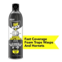 Raid Max Foaming Wasp & Hornet Killer, 16.5 oz